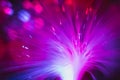 Fiber optics threads in purple color Royalty Free Stock Photo