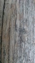 Fiber pattern on brown wood texture