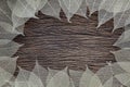 Fiber structure of dry leaves texture, skeleton leaf on old wooden background with space for text. Royalty Free Stock Photo