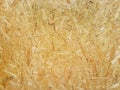 Fiberboard. Compressed light brown wooden plywood texture. Close up surface of pressed wood-shaving plate. Old wooden board bagass Royalty Free Stock Photo