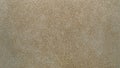 Fiberboard wooden plate, Pressed beige chipboard, Close up texture background. Royalty Free Stock Photo