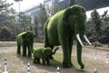 The fiberglass statue of Elephant family in a park.