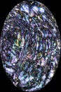 Fibers from cottonwood seed pod in digitally altered, abstract m