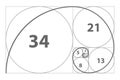 Fibonacci sequence of circles. Golden ratio spiral Royalty Free Stock Photo