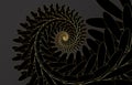 Fibonacci spiral background. Abstract black and gold Nautilus Fibonacci pattern template, golden luxury vector Royalty Free Stock Photo