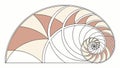 Fibonacci Spiral Shell Geometric Pattern, vector design Generative AI Royalty Free Stock Photo