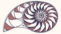 Fibonacci Spiral Shell Vector Illustration, Geometric Natural Pattern, vector design Generative AI Royalty Free Stock Photo