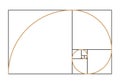 Fibonacci spiral symbol