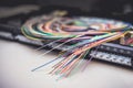 Fibre optic cables on patch distribution panel Royalty Free Stock Photo