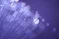 Fibre optic lights Royalty Free Stock Photo