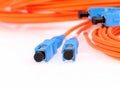 Fibre Optic Network Cables Royalty Free Stock Photo