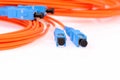 Fibre Optic Network Cables Royalty Free Stock Photo