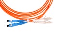 Fibre Optic Network Cables Royalty Free Stock Photo