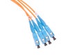 Fibre Optic Network Cables Royalty Free Stock Photo