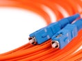 Fibre Optic Network Cables Royalty Free Stock Photo