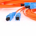 Fibre Optic Network Cables Royalty Free Stock Photo