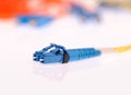 Fibre Optic Network Cables Royalty Free Stock Photo