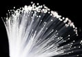 Fibre Optical Royalty Free Stock Photo