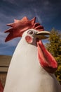 Fibreglass chicken statue Royalty Free Stock Photo