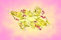 Crystal structure of fibroblast growth factor 1 (FGF1) in complex with extracellular ligand binding of