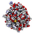 Fibroblast growth factor 1 (FGF1, heparin-binding growth factor 1) protein. FGF1 is being investigated for the treatment of