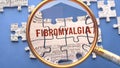 Fibromyalgia as a complex subject