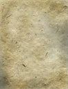 Fibrous rice paper Royalty Free Stock Photo