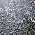 A fibrous and stringy texture with spider webs and cotton fibers1, Generative AI