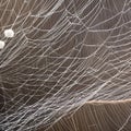 A fibrous and stringy texture with spider webs and cotton fibers3, Generative AI
