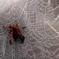 A fibrous and stringy texture with spider webs and cotton fibers4, Generative AI