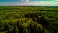 Fictional forest nature plain aerial photo material