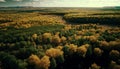 Fictional forest nature plain aerial photo material