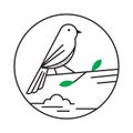 fictive bird. Vector illustration decorative design