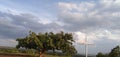 Ficus altissima Blume blue sky and cloud yesu statue