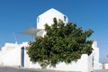 Ficus elastica tree in front of white house in Santorini