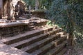 Ficus Grows On The Stairs Of An Ancient Dilapidated Temple. Ancient Ruins In The Rainforest. Stone Steps Of Medieval Construction