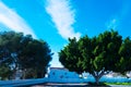 Ficus near the house. Nerja. Spain Royalty Free Stock Photo