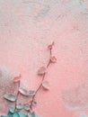 Ficus Pumila vines climbing on cement wall Royalty Free Stock Photo