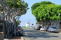 Ficus trees line Ocean Avenue in Laguna Beach, California. Royalty Free Stock Photo