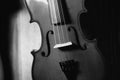Fiddle 4 string black and white music impact Royalty Free Stock Photo