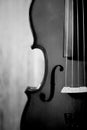 Fiddle 4 string black and white songs instrument musical Royalty Free Stock Photo