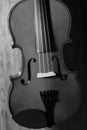 Fiddle musical 4 string black and white Royalty Free Stock Photo