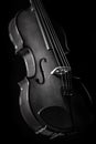 Fiddle 4 string black and white style music wood Royalty Free Stock Photo