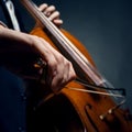 Fiddlestick in hand cellist Royalty Free Stock Photo
