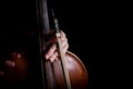 Fiddlestick in hand cellist Royalty Free Stock Photo