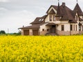Fied of yellow flowers with cotage house