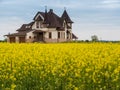 Fied of yellow flowers with cotage house Royalty Free Stock Photo