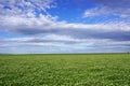 Field against sky, agriculture and farming land with sky and clouds in Victoria, Australia.