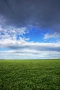 Field against sky, agriculture and farming land with sky and clouds in Victoria, Australia.