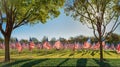 Field of American flags displayed on the honor of Veterans Day celebration Royalty Free Stock Photo